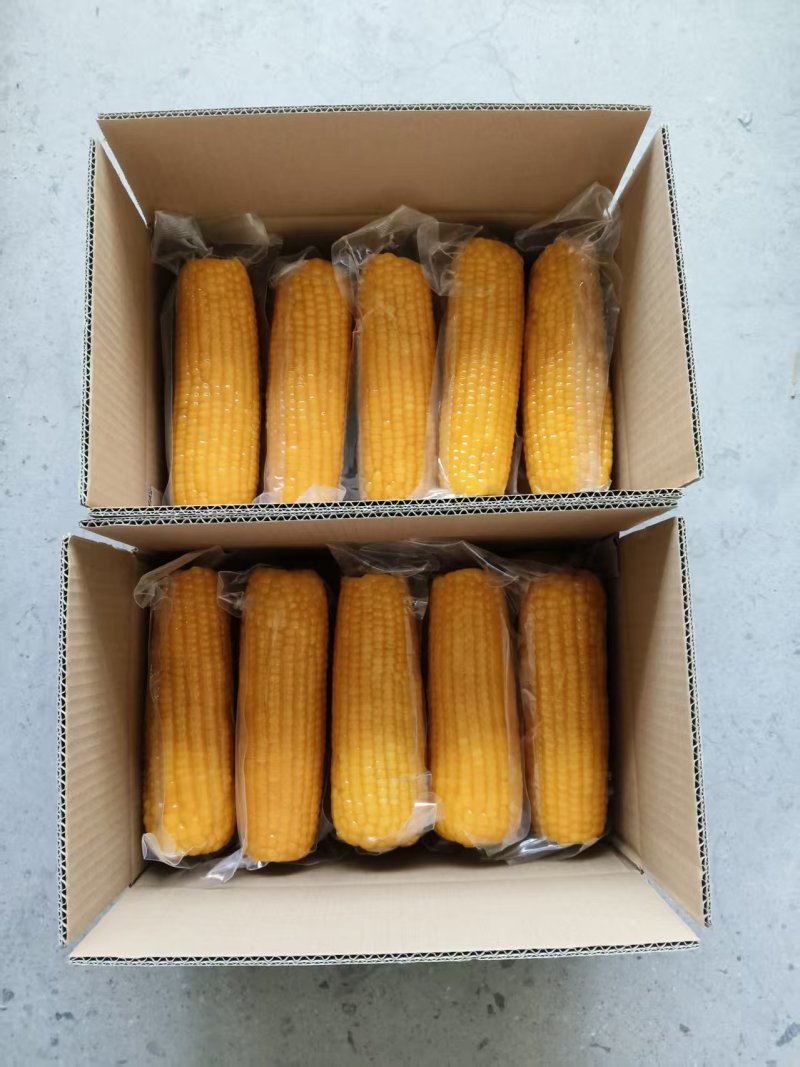 东北鲜食玉米（真空包装）