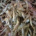 干鱼绿茶霉豆腐腊肉