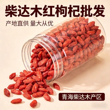 青海红枸杞批发