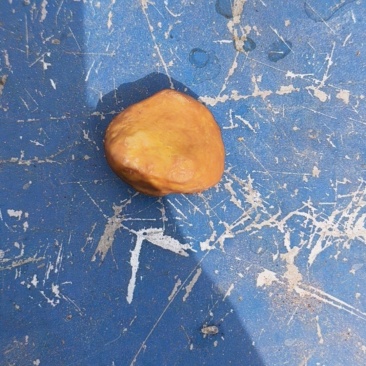 鸡宝