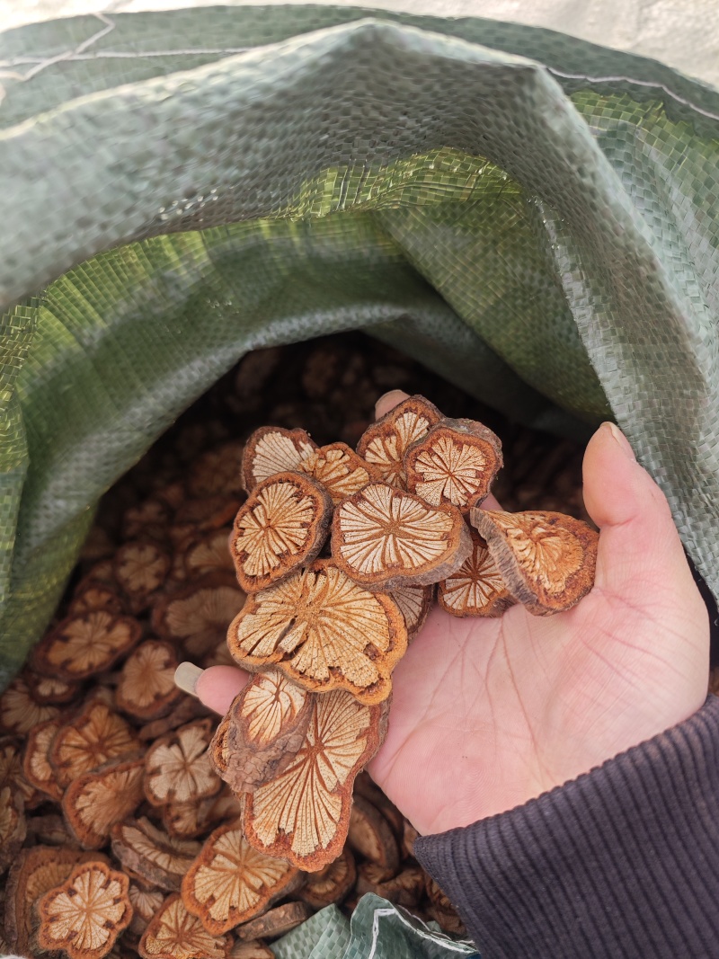 红藤新货大片好货