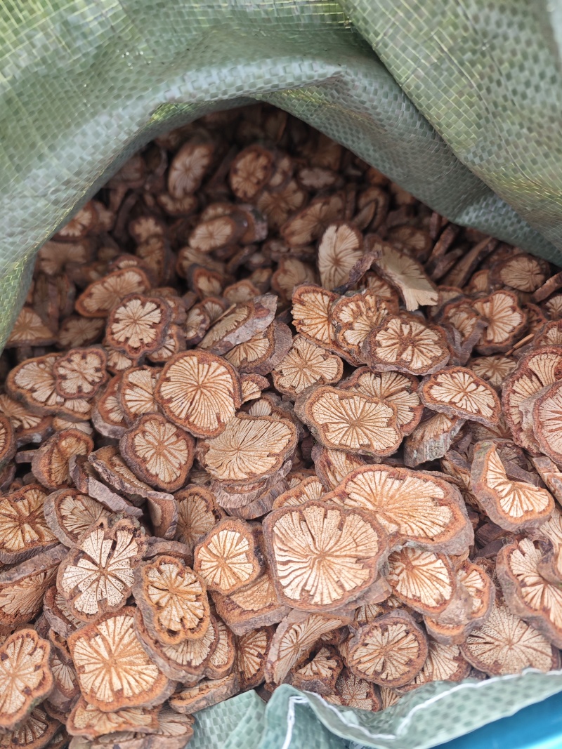 红藤新货大片好货