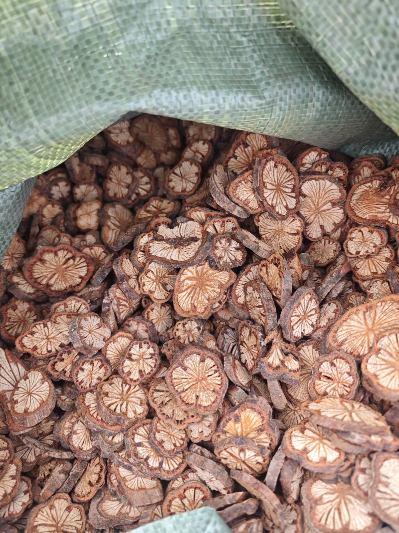 红藤新货大片好货