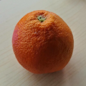 果冻橙