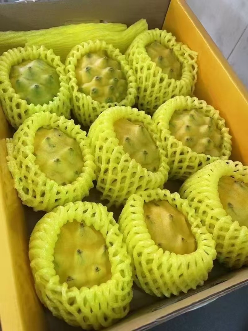 燕窝果