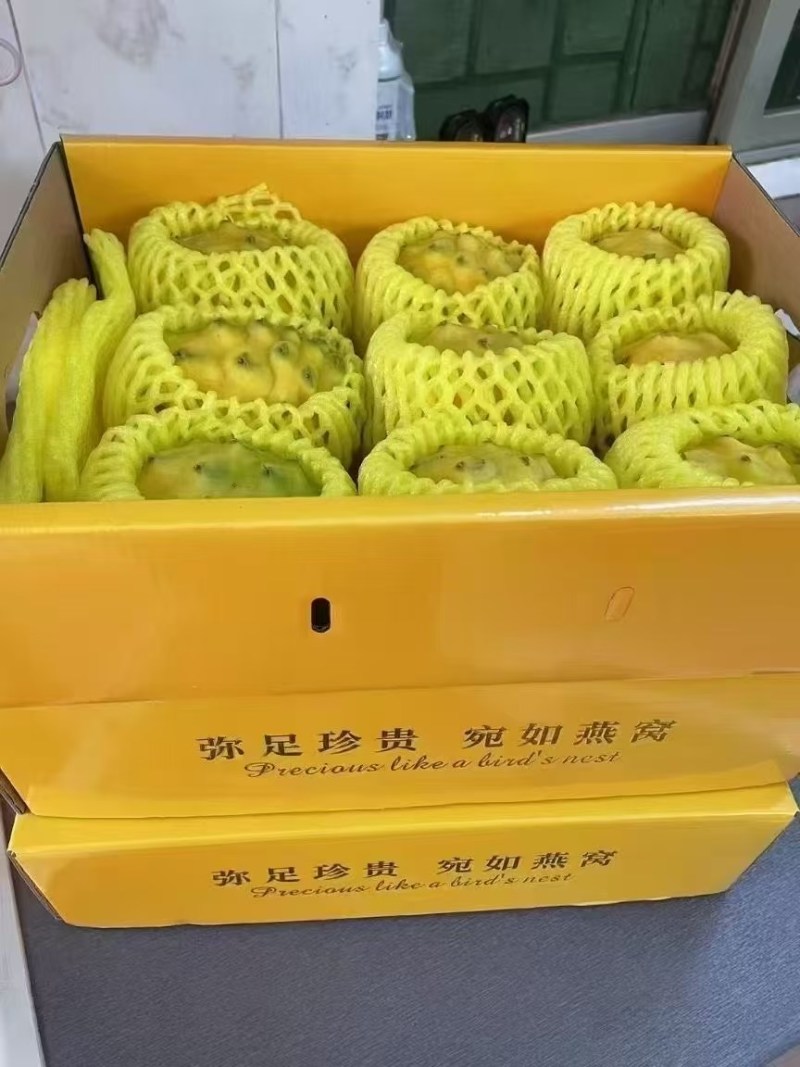 燕窝果