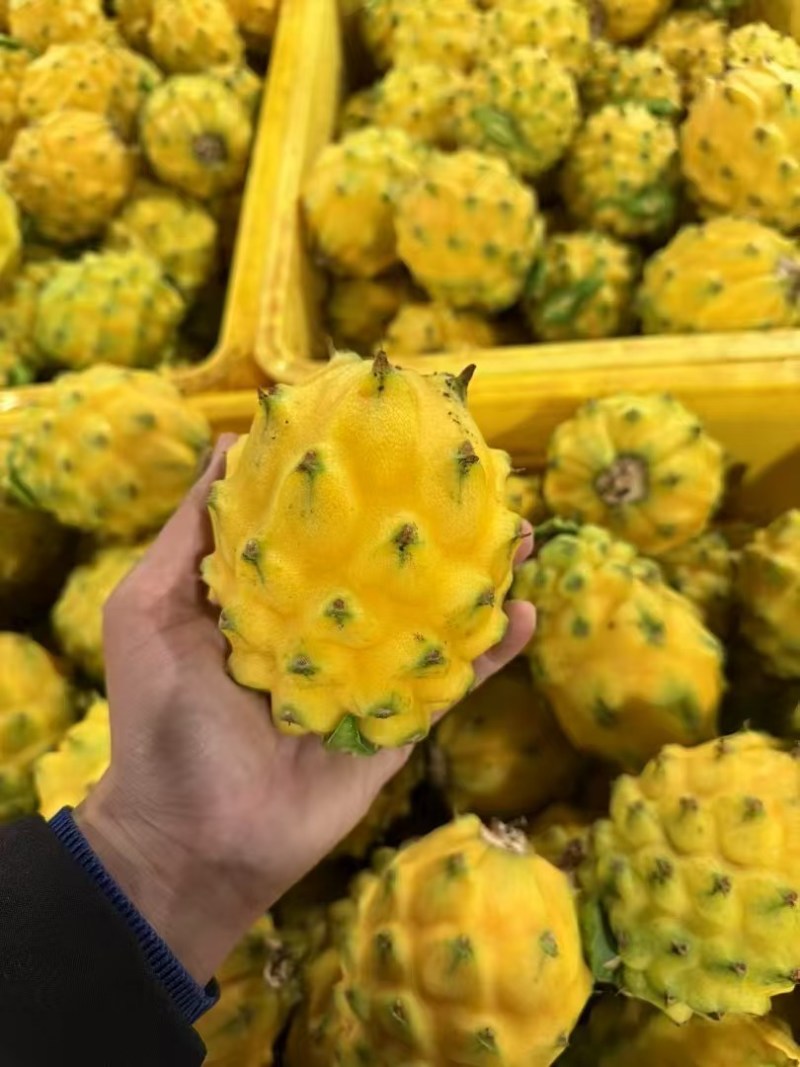 燕窝果
