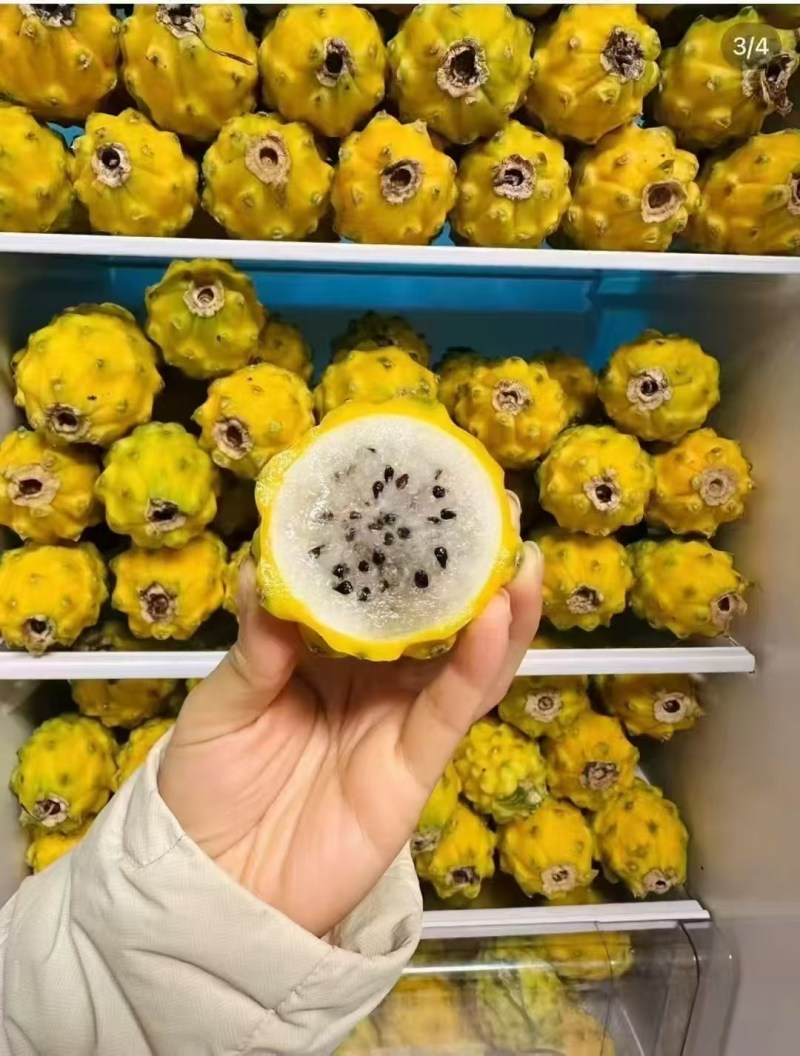 燕窝果