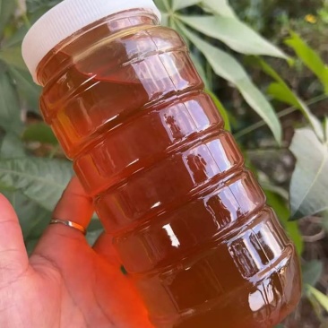 缅甸野蜂蜜