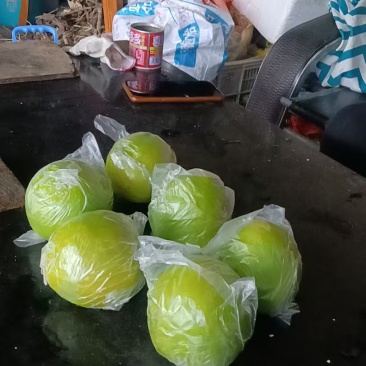 福建牛奶青枣