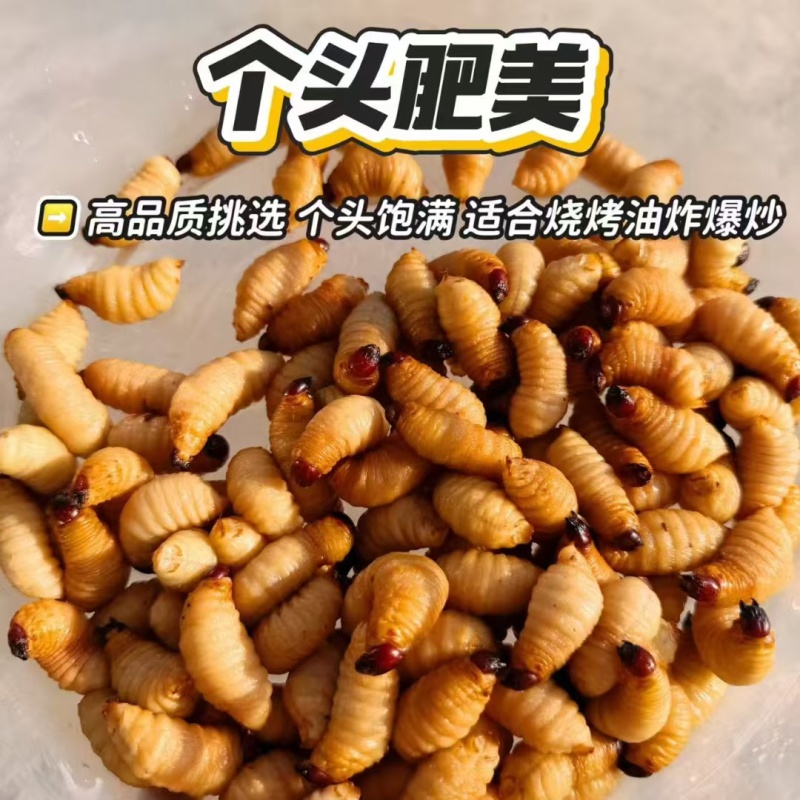 竹虫