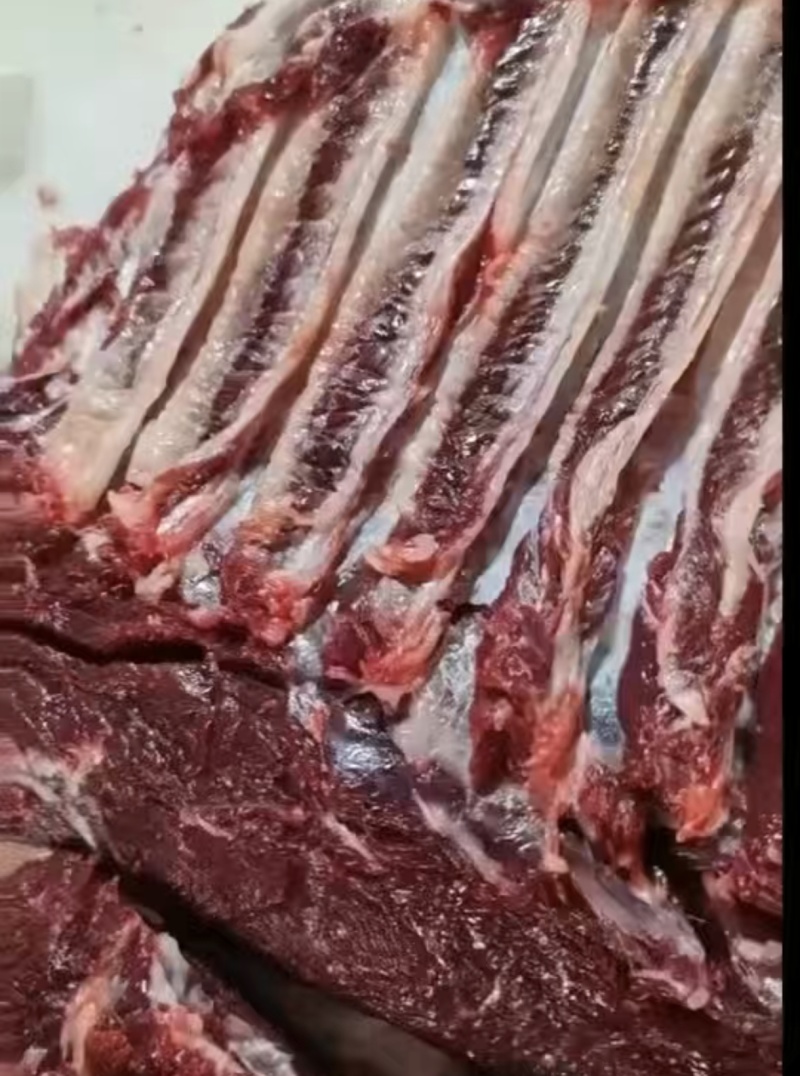新鲜现杀驴肉，腿肉，肚腩，肋条肉