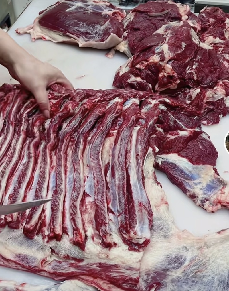 新鲜现杀驴肉，腿肉，肚腩，肋条肉