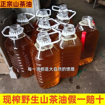 攸县山茶油
