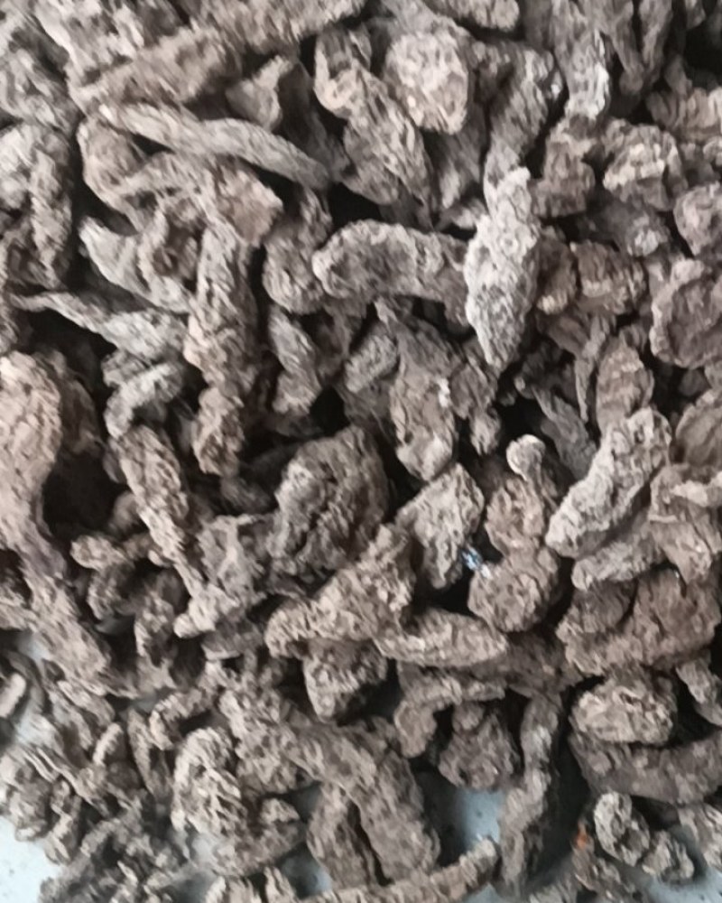 中药，生地黄