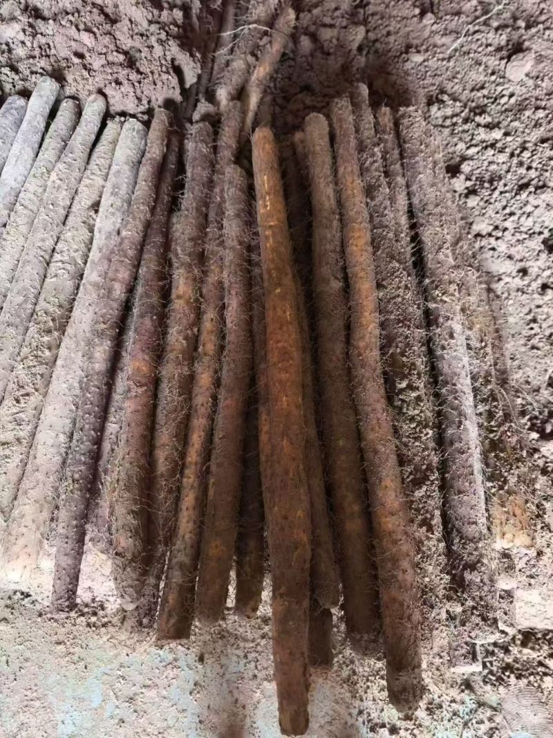山药各种规格都有货