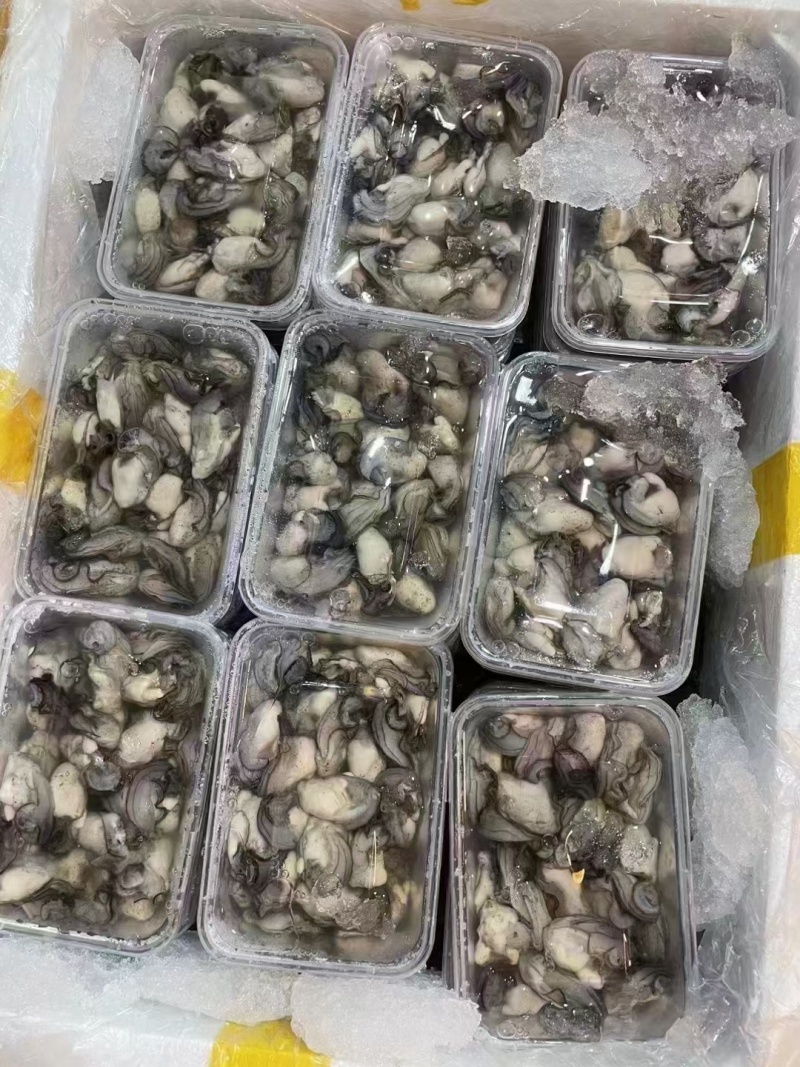 生蚝肉