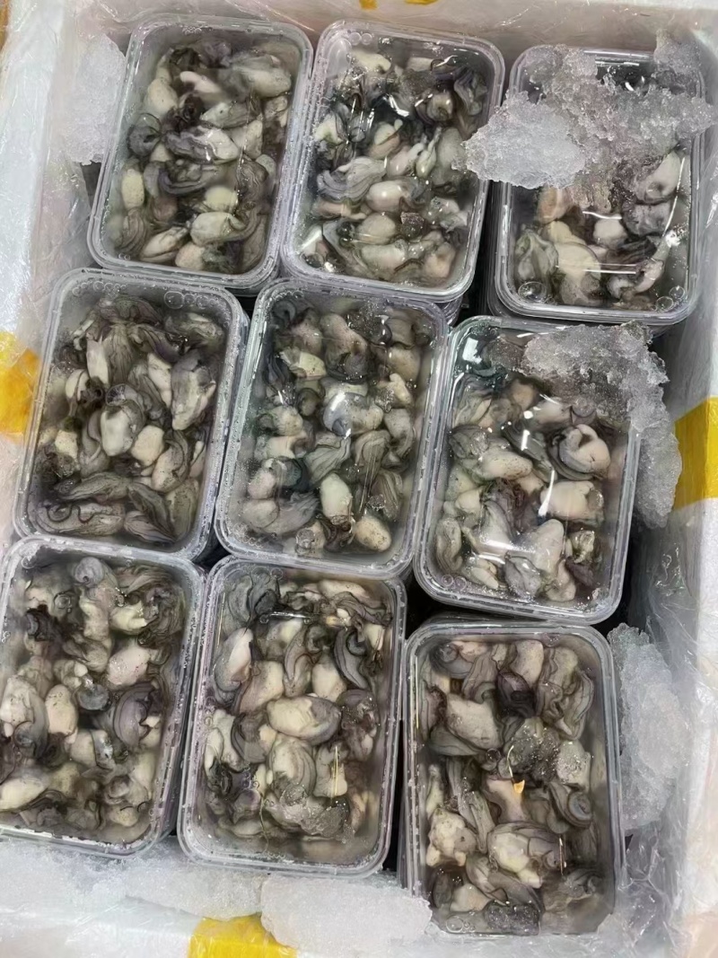 生蚝肉