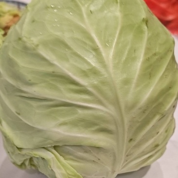 包菜甜脆