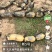 湖北鄂莲新5号莲藕
