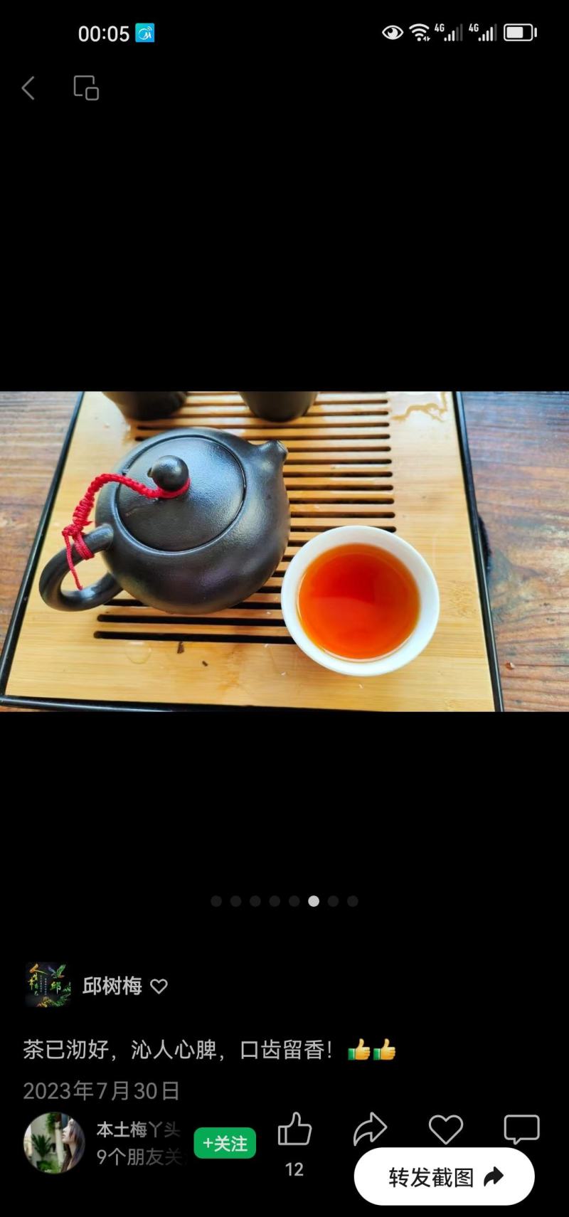 清远秦皇山高山云雾茶