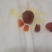 鸡宝
