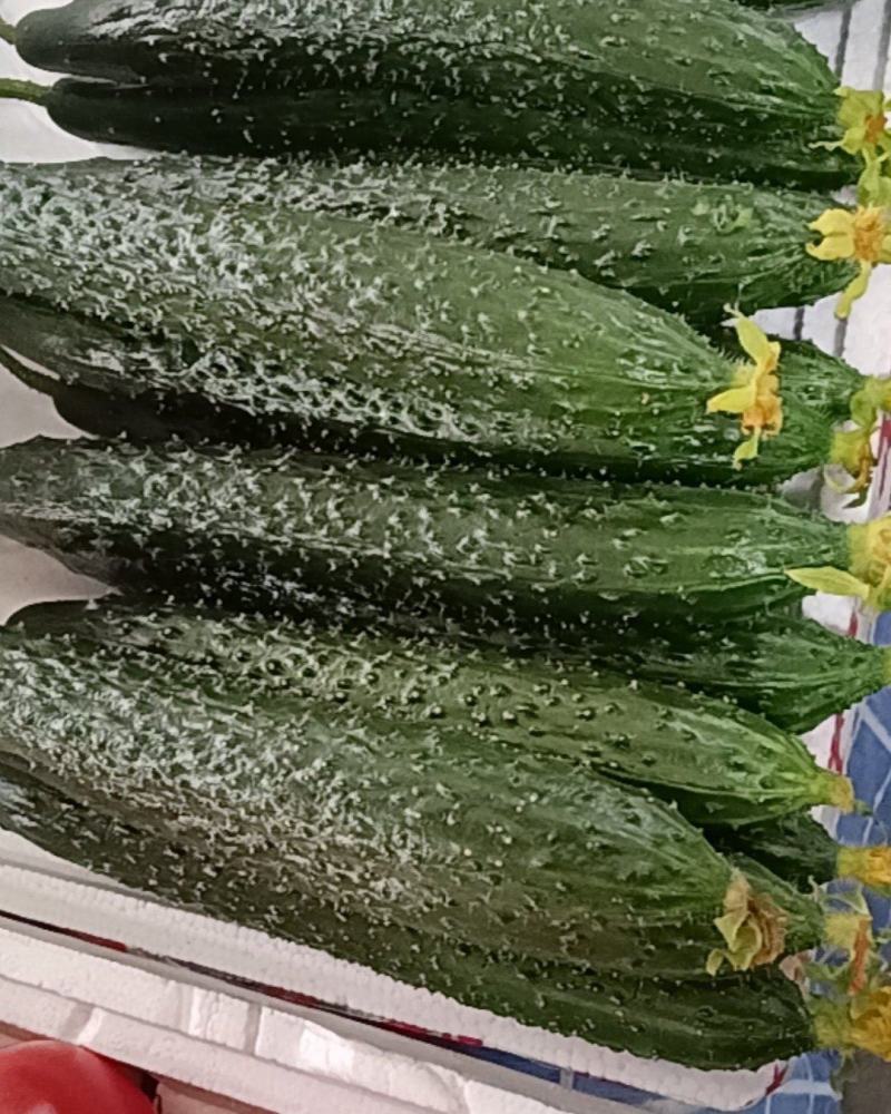 蔬菜