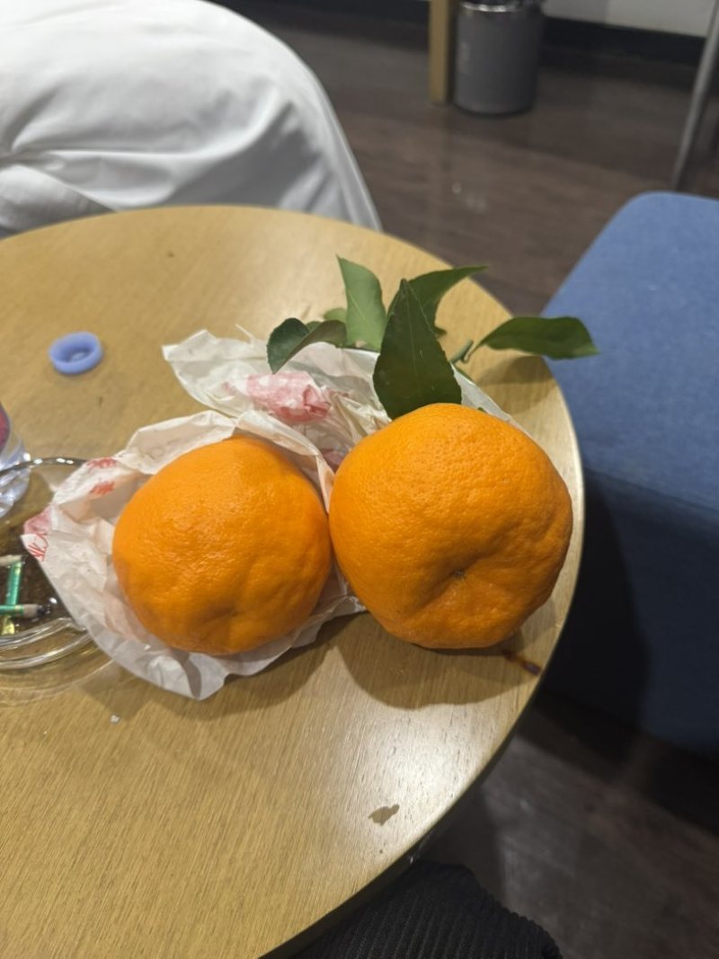 耙耙柑