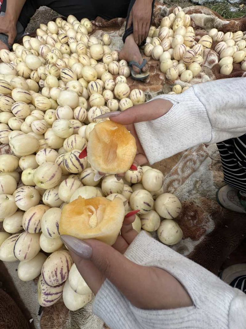 云南德宏精品大果高山人参果