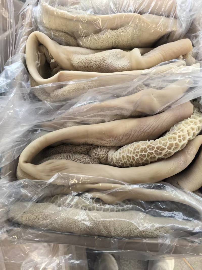 各式牛肚