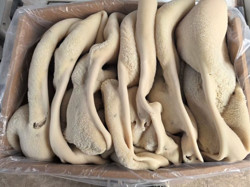 各式牛肚
