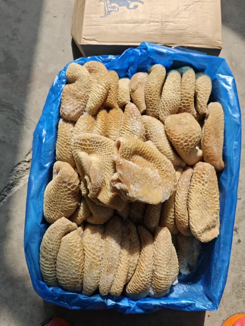 各式牛肚