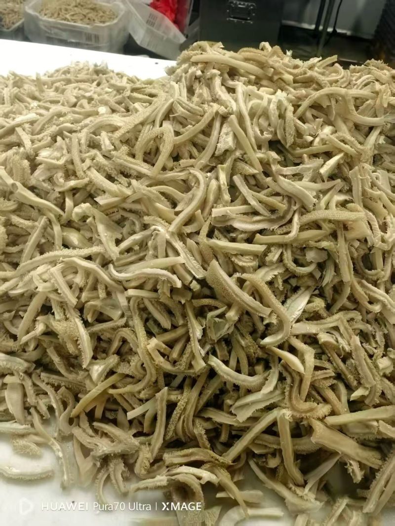 各式牛肚