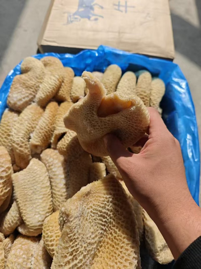 各式牛肚