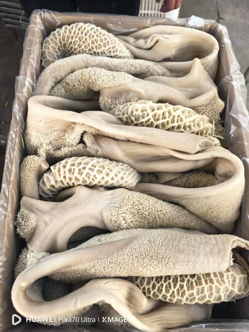各式牛肚