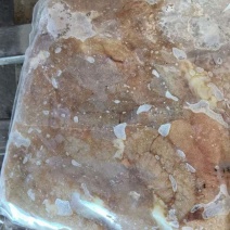 冷冻白鲢籽五斤的货量大需要可联系