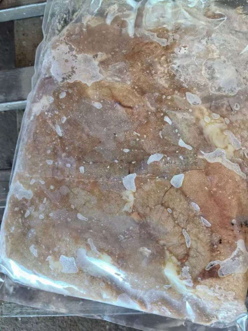 冷冻白鲢籽五斤的货量大需要可联系