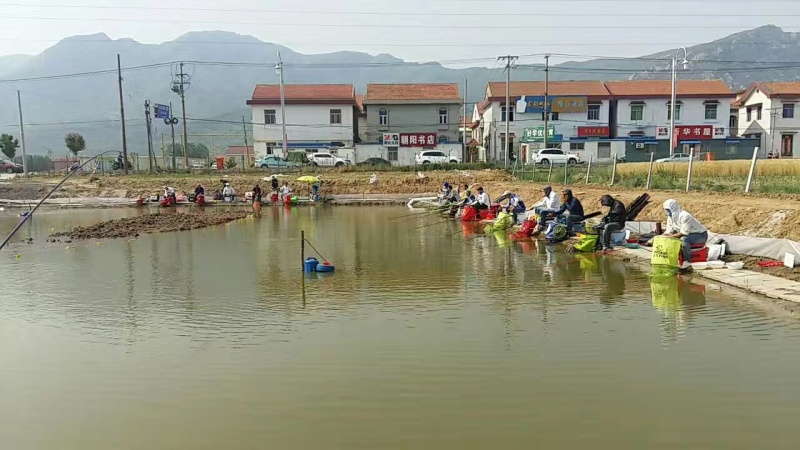 鱼塘转让、转租
