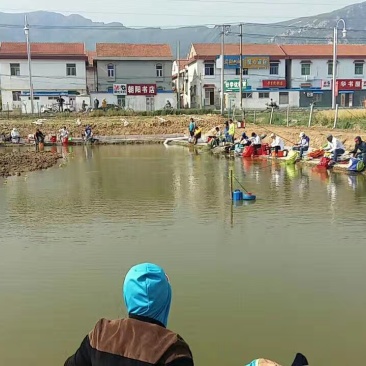 鱼塘转让、转租