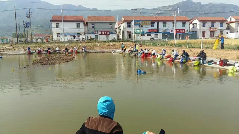 鱼塘转让、转租