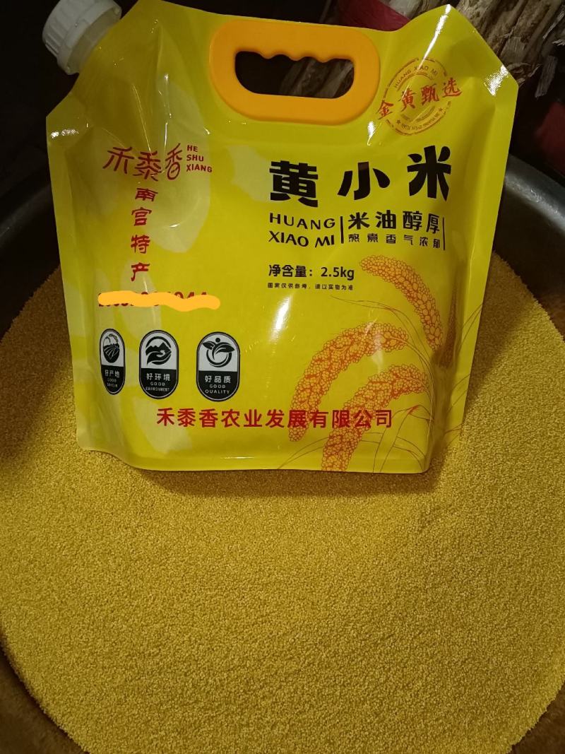 河北小米
