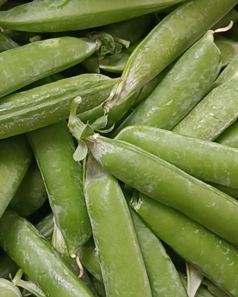 云南长寿仁甜豌豆荚，豌豆米