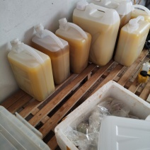 河南杞县阳堌镇后了城花生油