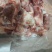 满肉羊后棒骨​十几一斤