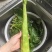 凤台莴笋