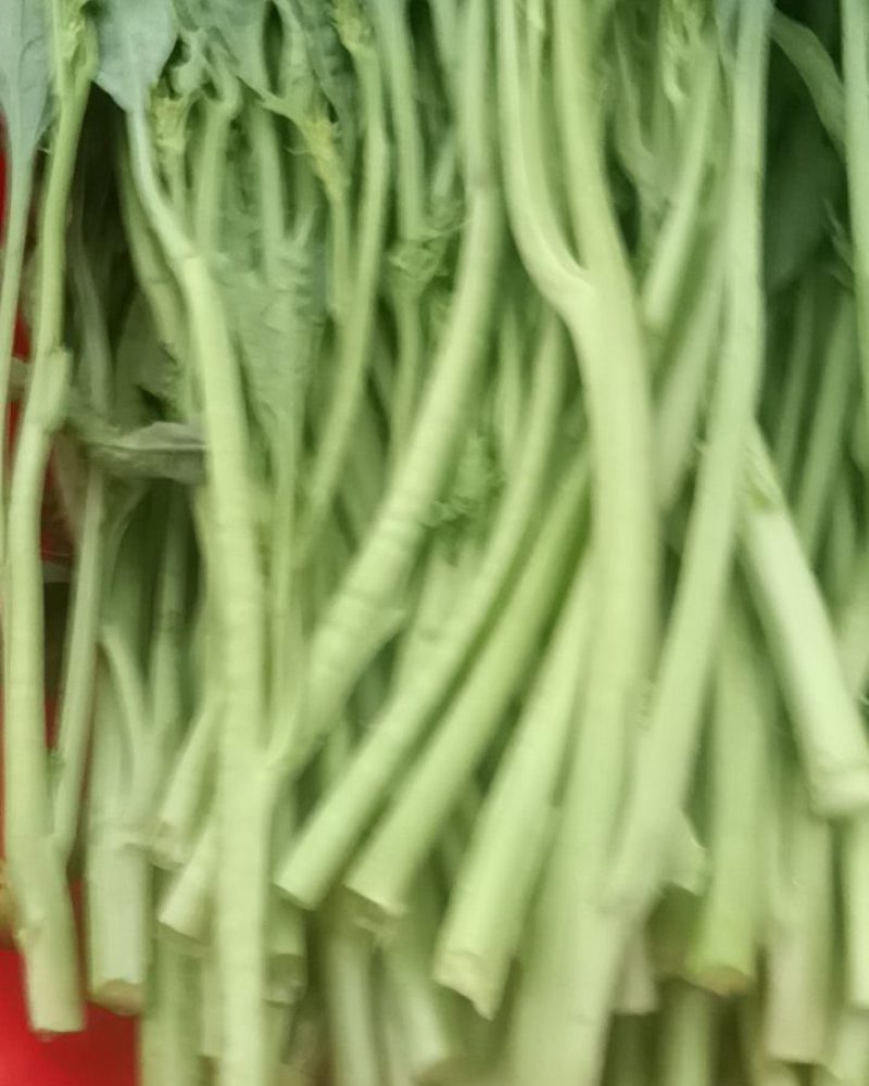 芥菜苔
