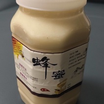 广西地蜜