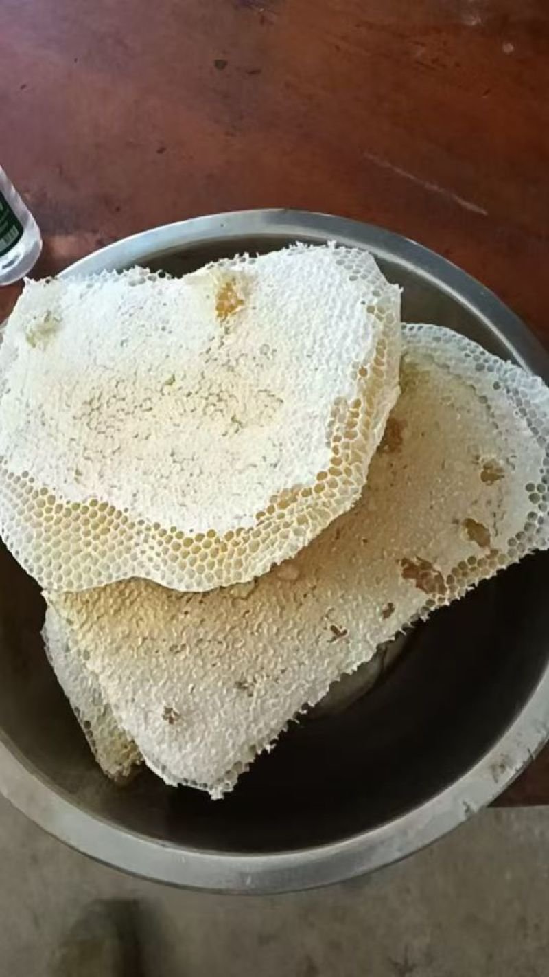 广西地蜜