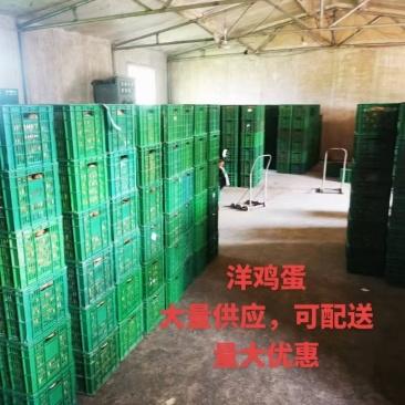 洋鸡蛋批发仅限上海市食堂客户群体供应