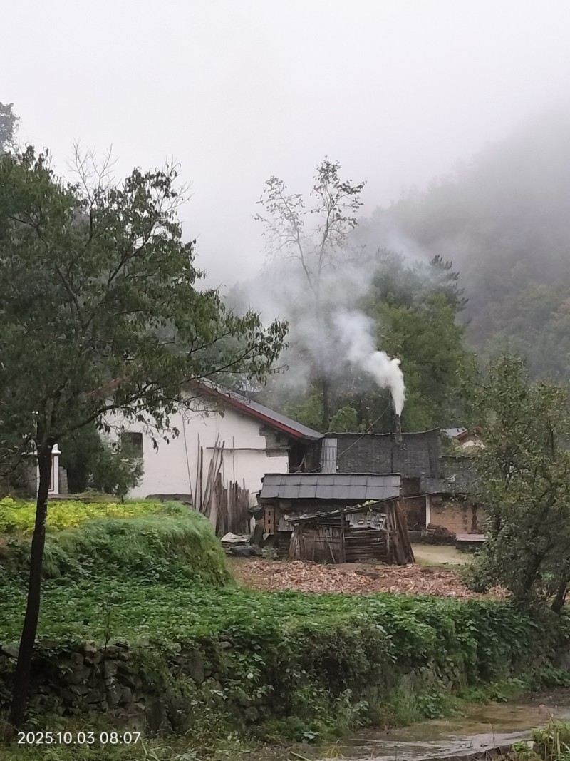 秦岭深山土蜂蜜，***无污染